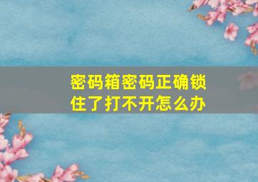 密码箱密码正确锁住了打不开怎么办