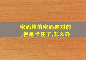 密码箱的密码是对的,但是卡住了,怎么办