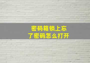 密码箱锁上忘了密码怎么打开