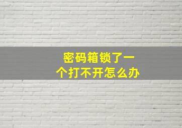 密码箱锁了一个打不开怎么办