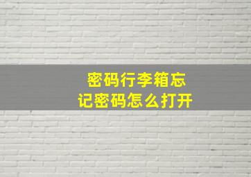 密码行李箱忘记密码怎么打开