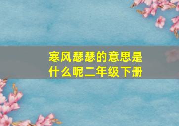 寒风瑟瑟的意思是什么呢二年级下册