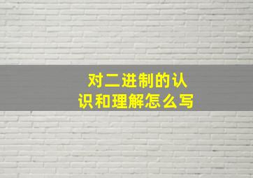 对二进制的认识和理解怎么写