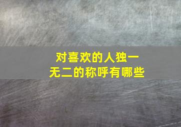 对喜欢的人独一无二的称呼有哪些