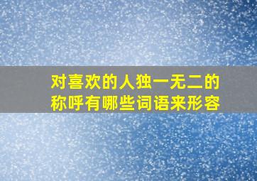 对喜欢的人独一无二的称呼有哪些词语来形容