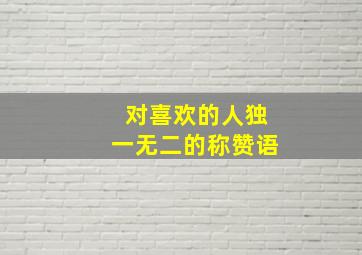 对喜欢的人独一无二的称赞语