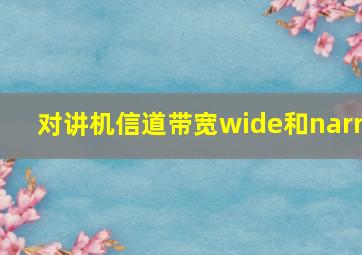 对讲机信道带宽wide和narr