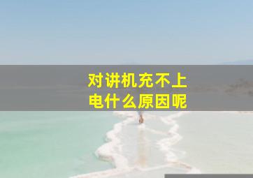 对讲机充不上电什么原因呢