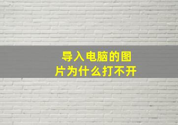 导入电脑的图片为什么打不开