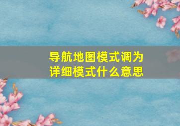 导航地图模式调为详细模式什么意思