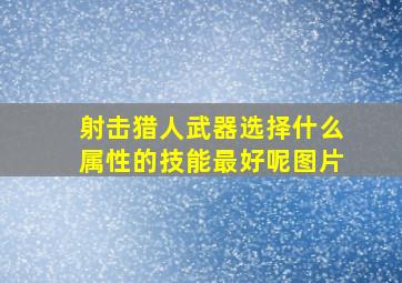 射击猎人武器选择什么属性的技能最好呢图片