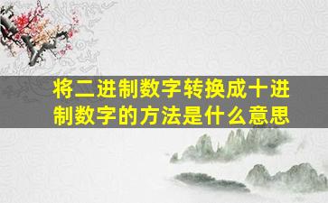 将二进制数字转换成十进制数字的方法是什么意思