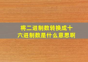 将二进制数转换成十六进制数是什么意思啊