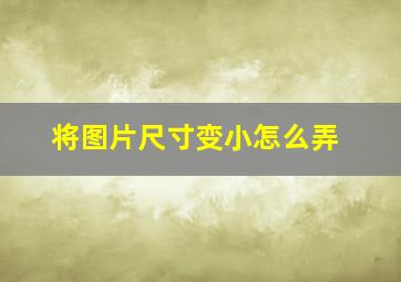 将图片尺寸变小怎么弄