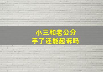 小三和老公分手了还能起诉吗