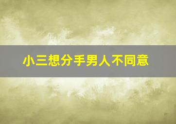 小三想分手男人不同意