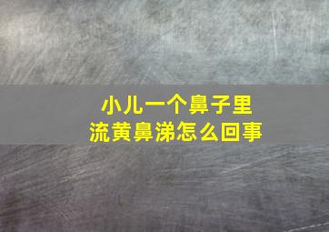 小儿一个鼻子里流黄鼻涕怎么回事