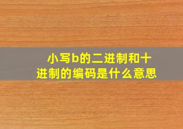 小写b的二进制和十进制的编码是什么意思