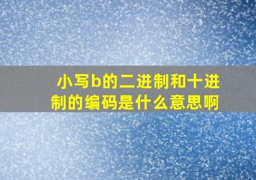 小写b的二进制和十进制的编码是什么意思啊