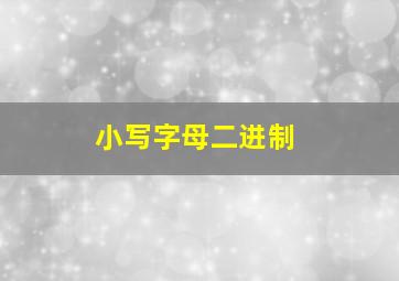 小写字母二进制