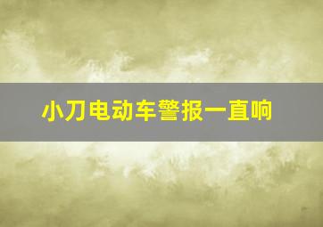 小刀电动车警报一直响