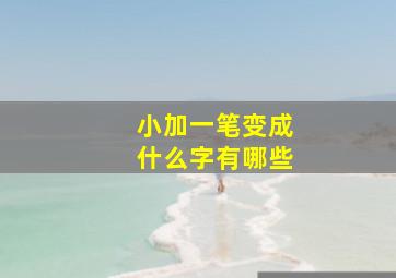 小加一笔变成什么字有哪些