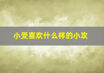 小受喜欢什么样的小攻