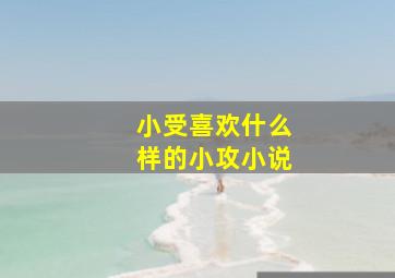 小受喜欢什么样的小攻小说