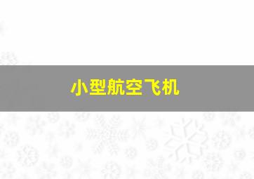 小型航空飞机