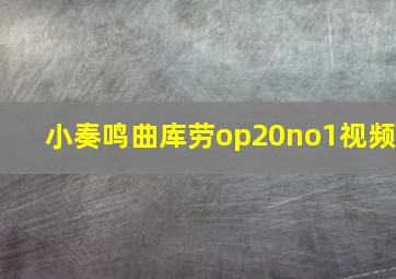 小奏鸣曲库劳op20no1视频