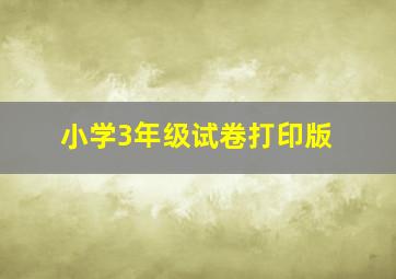 小学3年级试卷打印版