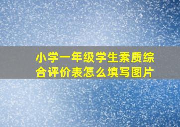 小学一年级学生素质综合评价表怎么填写图片