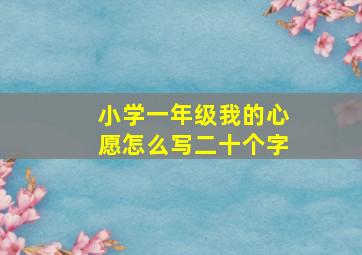 小学一年级我的心愿怎么写二十个字