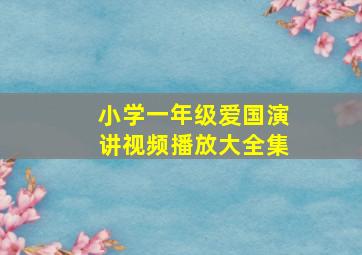 小学一年级爱国演讲视频播放大全集