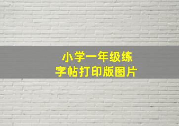 小学一年级练字帖打印版图片