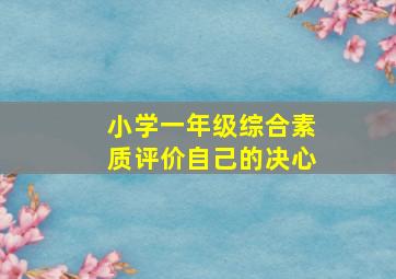 小学一年级综合素质评价自己的决心