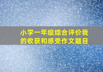 小学一年级综合评价我的收获和感受作文题目