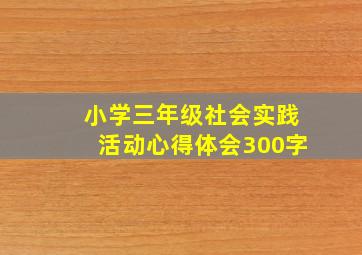 小学三年级社会实践活动心得体会300字