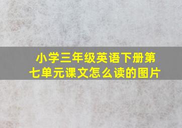 小学三年级英语下册第七单元课文怎么读的图片