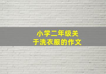 小学二年级关于洗衣服的作文