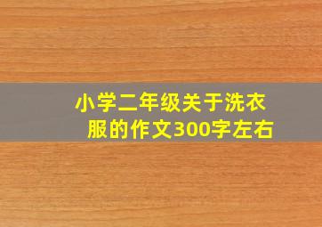 小学二年级关于洗衣服的作文300字左右