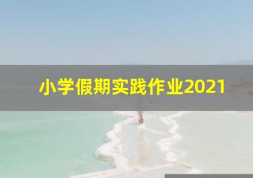 小学假期实践作业2021