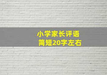 小学家长评语简短20字左右