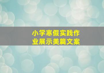 小学寒假实践作业展示美篇文案