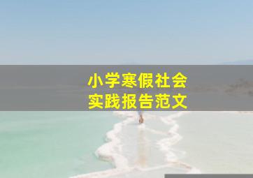 小学寒假社会实践报告范文