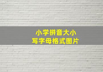 小学拼音大小写字母格式图片