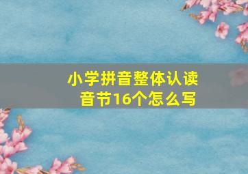 小学拼音整体认读音节16个怎么写