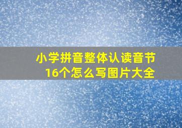 小学拼音整体认读音节16个怎么写图片大全