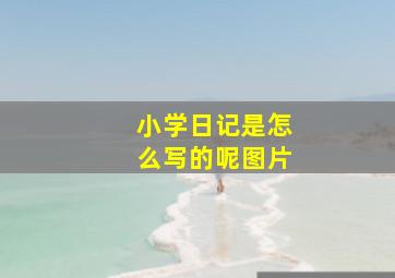 小学日记是怎么写的呢图片