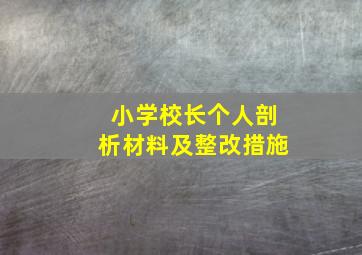 小学校长个人剖析材料及整改措施